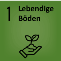 FBFH_ODGs_01_e005